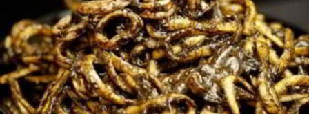 паста с каракатицей. Шаг 8