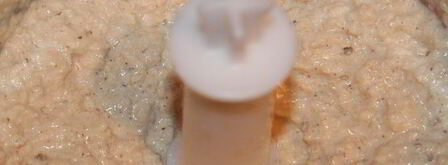 паста тахини. Шаг 6