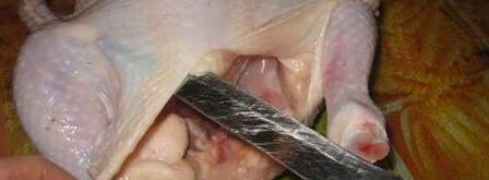 курица, фаршированная блинами. Шаг 8