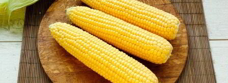 кукуруза, варенная с молоком и сливочным маслом. Шаг 7