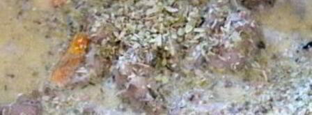 печень куриная с молоком. Шаг 6