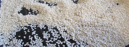 закусочные шарики с печенью трески. Шаг 9