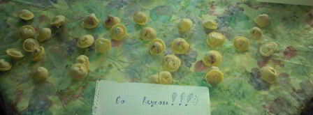 пельмени сибирские со смешанным фаршем. Шаг 6