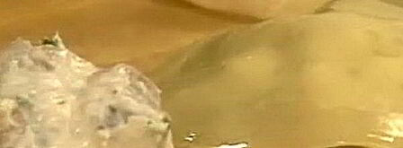 жареные эби-вонтоны. Шаг 6