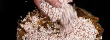 чайханский плов. Шаг 12