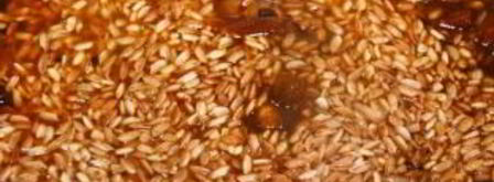 плов из девзиры. Шаг 8