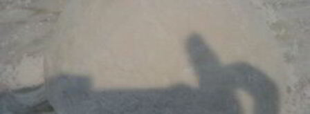 плов крокодил на пире. Шаг 8