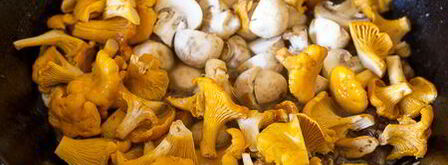 грибное рагу с уткой. Шаг 9