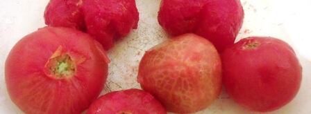 рыбное рагу. Шаг 7