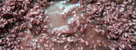 ризотто с красным вином. Шаг 5