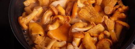 ризотто с лисичками. Шаг 9