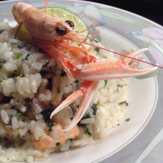 Рецепт ризотто с морскими гадами