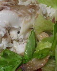 Дорада в снегу