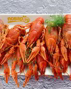 Раки под пиво