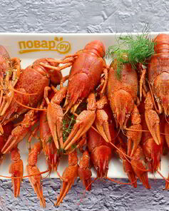 Раки под пиво