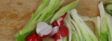 семга с салатом из цикория, фенхеля и редиски. Шаг 7