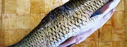 запеченный белый амур с овощами. Шаг 3