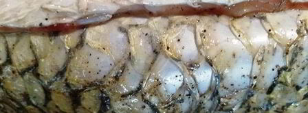 запеченный белый амур с овощами. Шаг 7