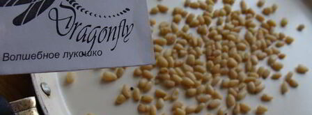 шашлычки из курицы и брюссельской капусты. Шаг 4