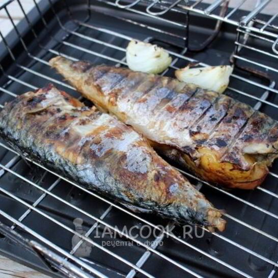 Рецепт шашлык из скумбрии на решетке