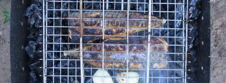 шашлык из скумбрии на решетке. Шаг 10