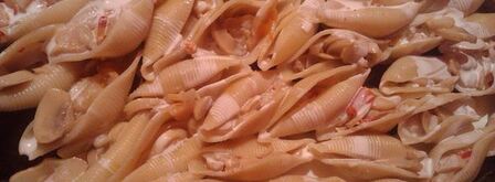 конкильони под сыром и стейк. Шаг 3