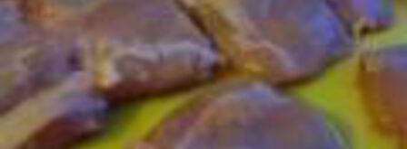 стейк паргит в соево-медовом соусе. Шаг 2