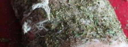 жаркое по-французски. Шаг 7