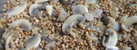 гречка с грибами и луком. Шаг 5