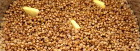 вкусная гречневая каша. Шаг 4