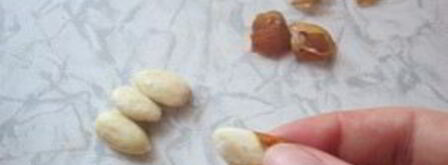 кутья из риса. Шаг 2