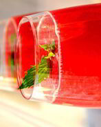 Коктейль Ягодная Пэрис