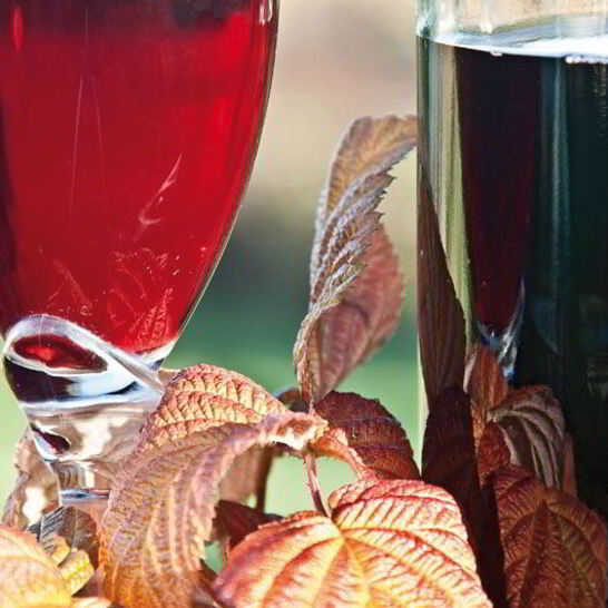 Рецепт малиновое вино