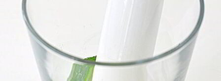 коктейль мохито. Шаг 5