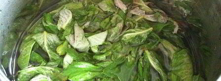 мятный сироп. Шаг 5