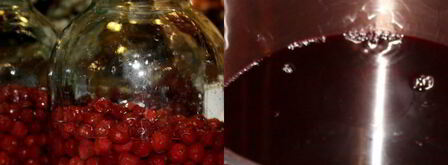 вишневая наливка. Шаг 4