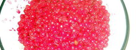 напиток и сок из калины. Шаг 2