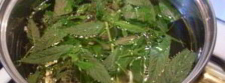 освежающий напиток из мяты. Шаг 3