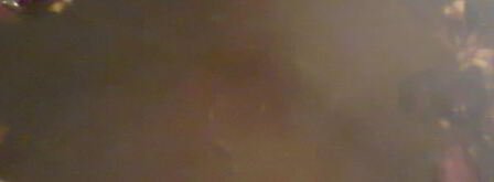 прохладительный напиток из шиповника. Шаг 3