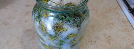 вино из одуванчиков. Шаг 2