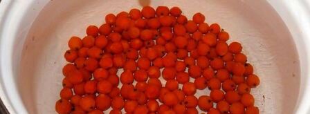 витаминный напиток. Шаг 2