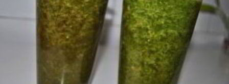 зеленый коктейль со свеклой. Шаг 5