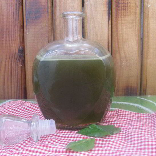 Рецепт зеленый мятный сироп