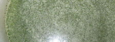 зеленый мятный сироп. Шаг 4