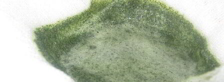 зеленый мятный сироп. Шаг 5