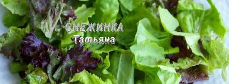 салат с авокадо, курицей, сельдереем и грейпфрутом. Шаг 4