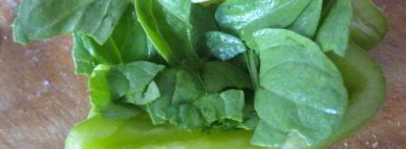 салат с куриной грудкой, редисом и руколой. Шаг 3