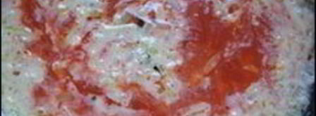 сметанно-томатный соус с луком. Шаг 6