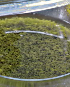 Соус Банья кауда