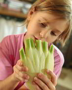 Соус из фенхеля и яблока